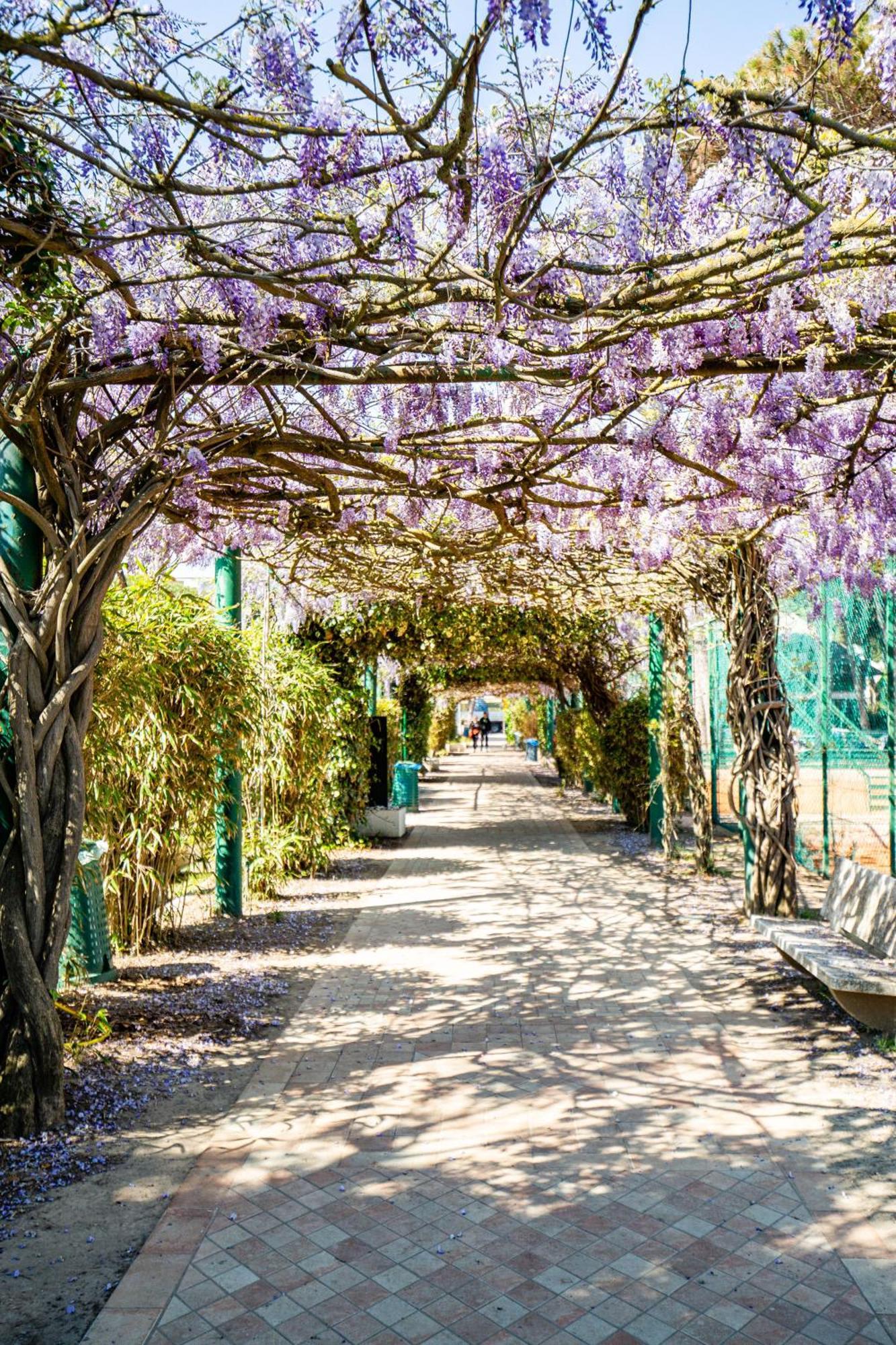 Marepineta Resort Milano Marittima Ngoại thất bức ảnh